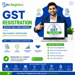 bizregistrogstimage