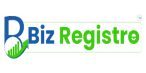 bizregistro